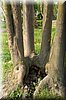 DSC_9043.jpg