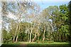 DSC_9044.jpg