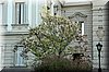 DSC_9065.jpg