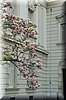 DSC_9066.jpg