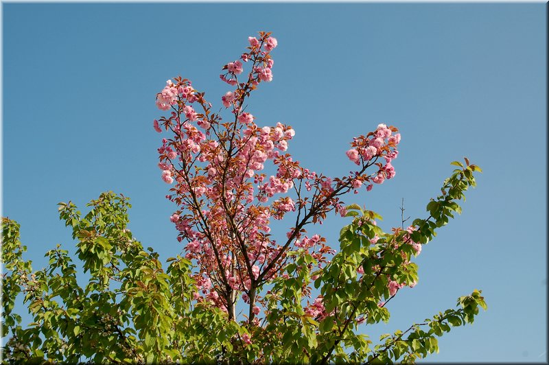 DSC_9086.jpg