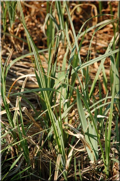 DSC_9088.JPG