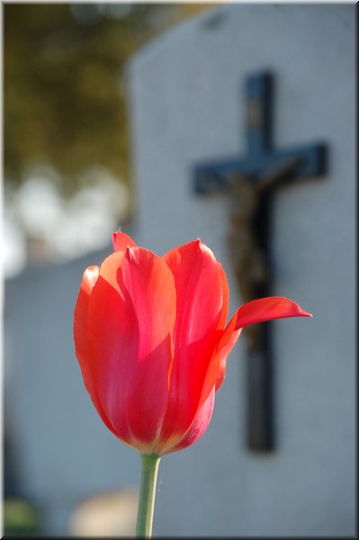 DSC_9134.JPG