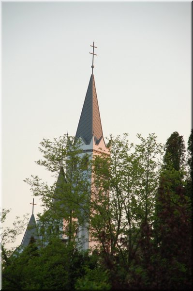 DSC_9164.jpg