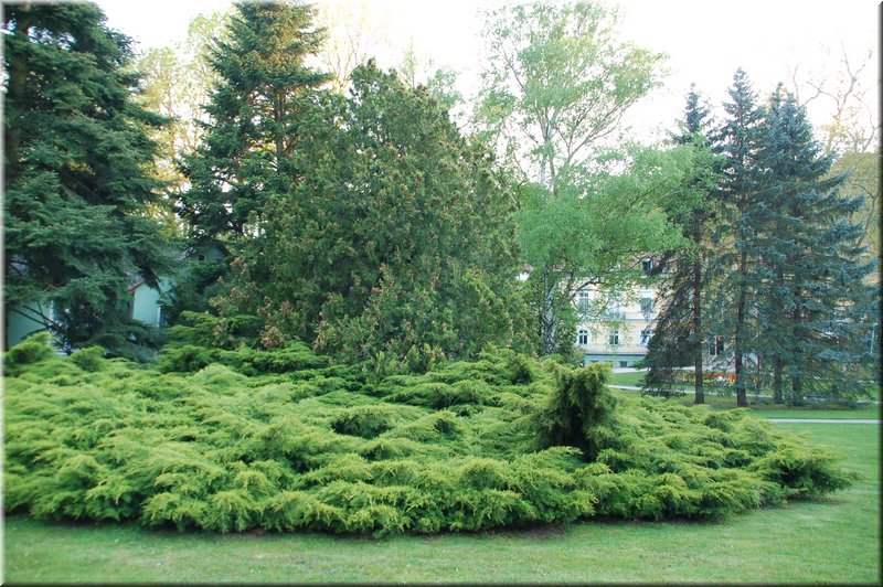 DSC_9307.jpg