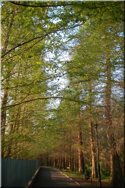 DSC_9329.JPG