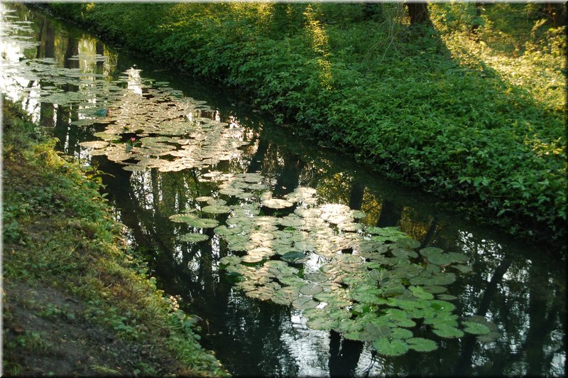 DSC_9334.JPG