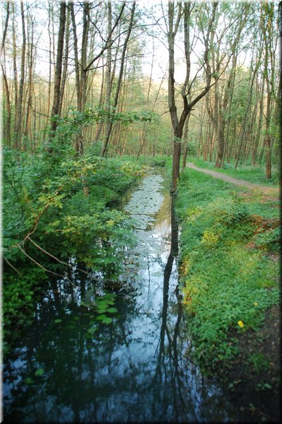 DSC_9337.JPG