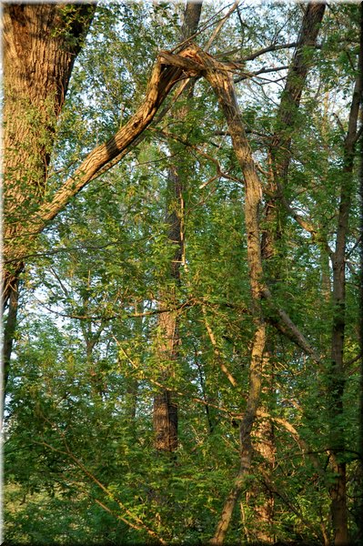 DSC_9347.jpg