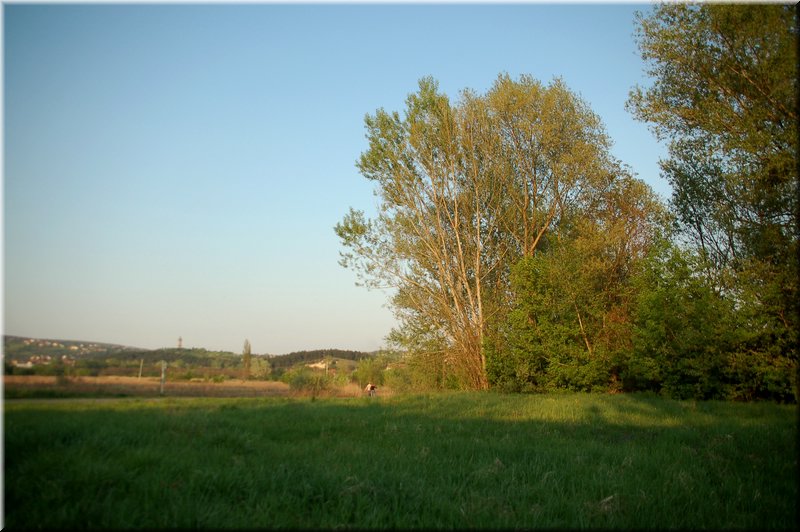 DSC_9350.jpg