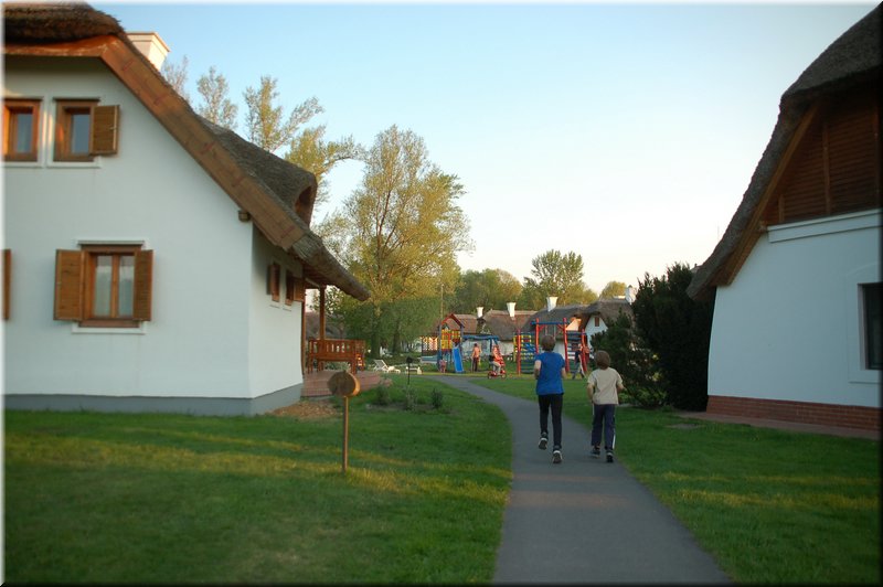DSC_9357.jpg