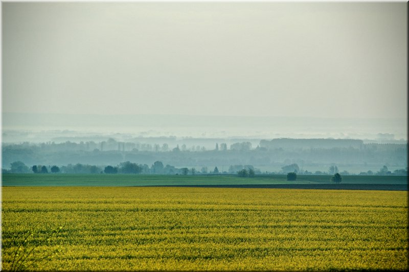 DSC_9359.jpg