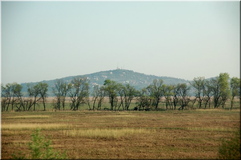 DSC_9363.jpg