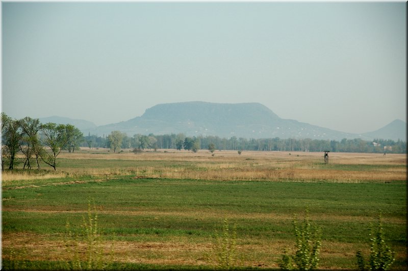 DSC_9364.jpg