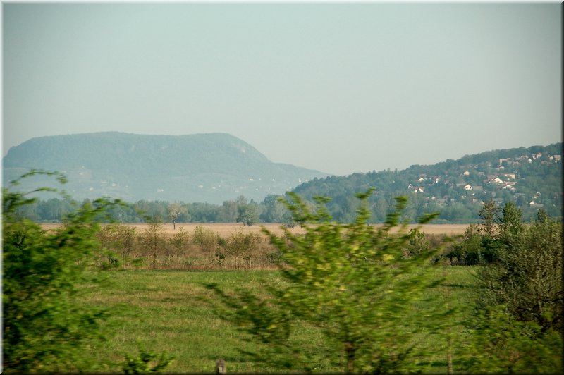 DSC_9366.jpg