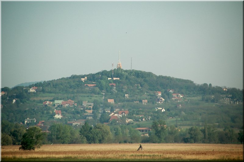 DSC_9370.jpg