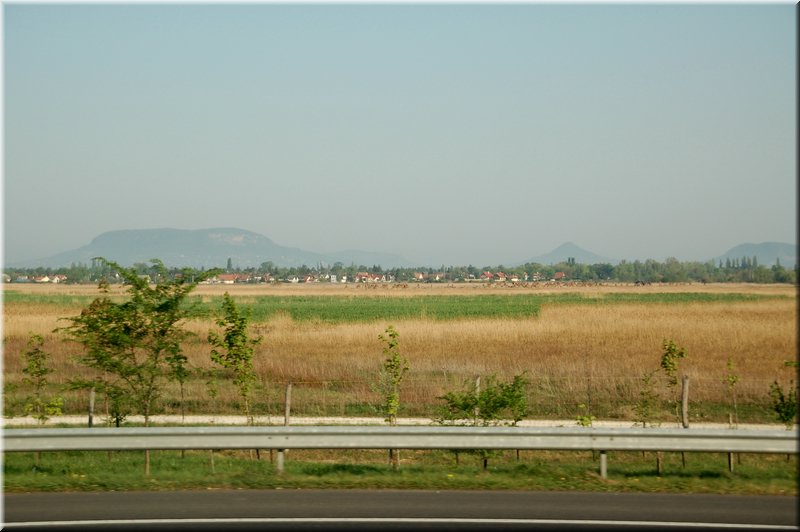DSC_9374.jpg