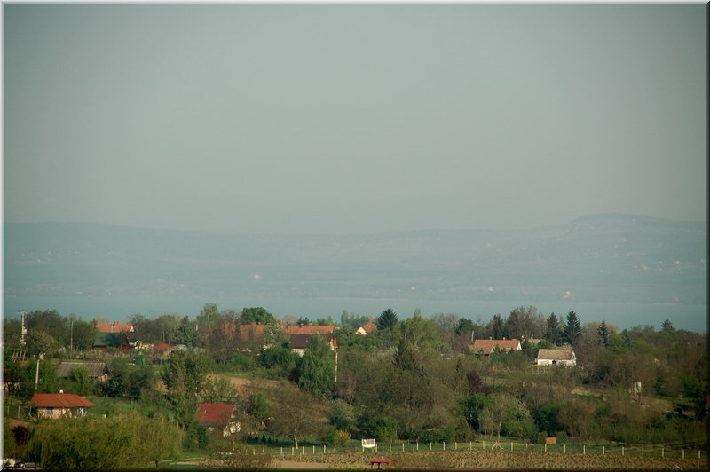 DSC_9377.jpg