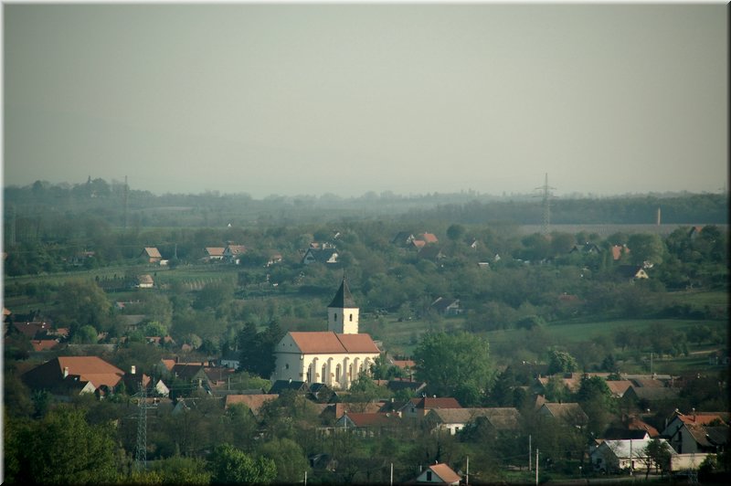DSC_9379.jpg