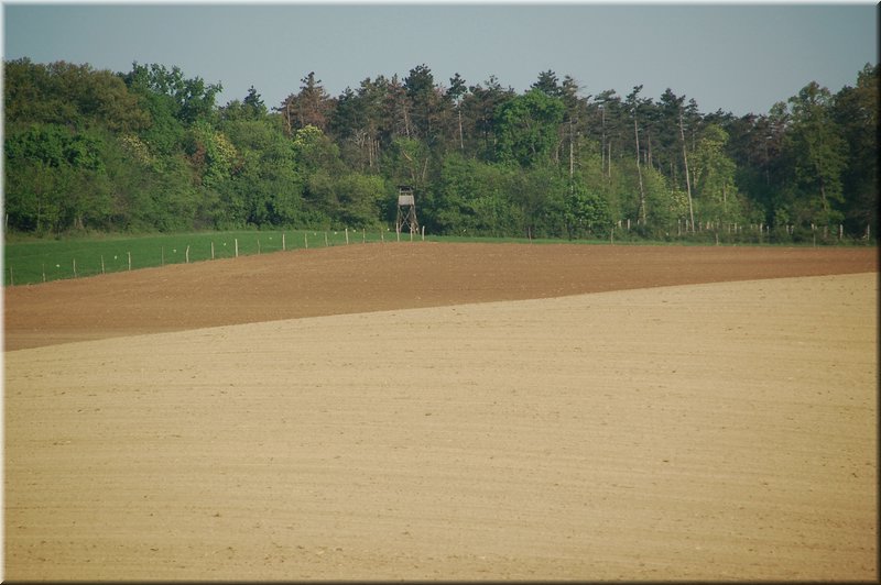 DSC_9386.jpg