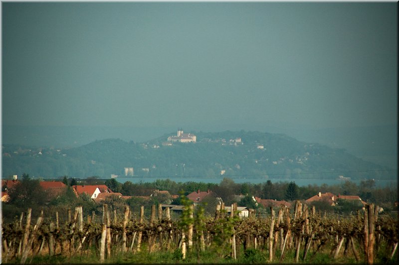 DSC_9388.jpg