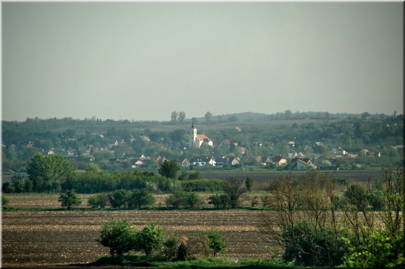 DSC_9390.jpg