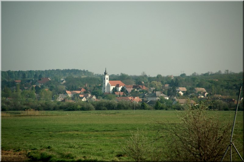 DSC_9391.jpg