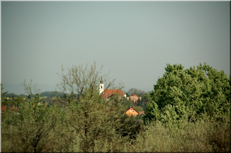 DSC_9392.jpg