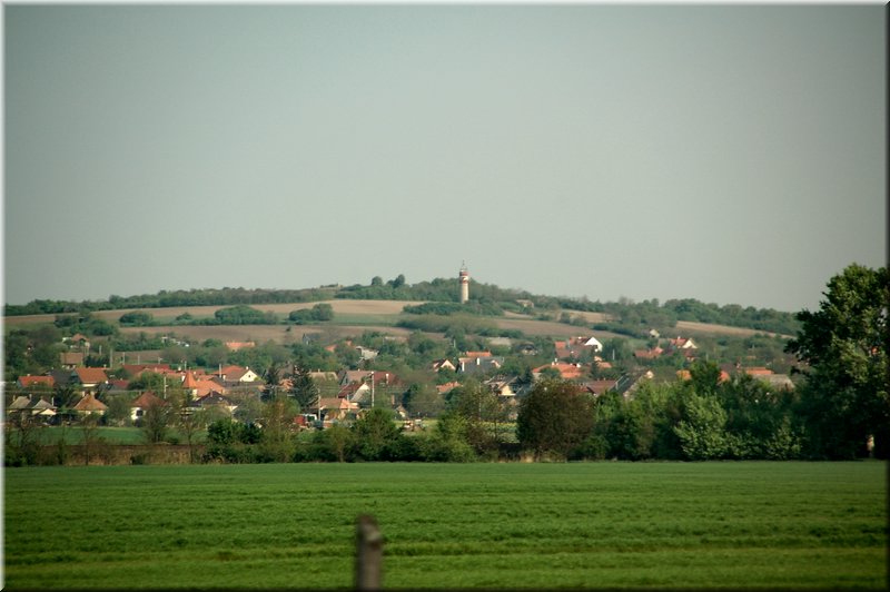 DSC_9393.jpg