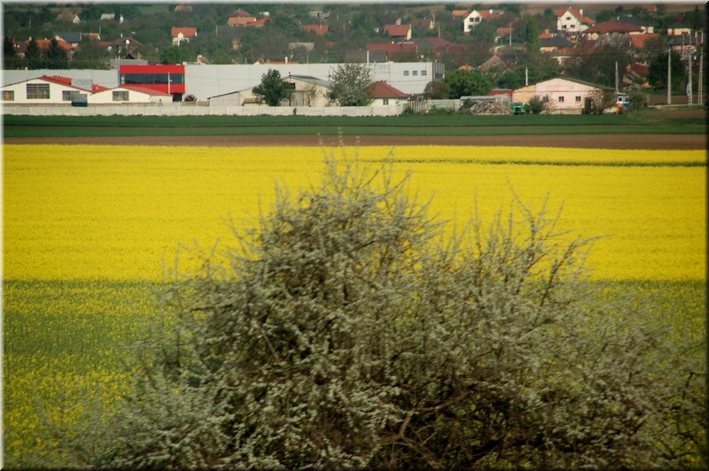 DSC_9394.jpg