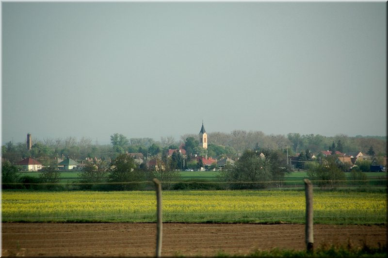 DSC_9396.jpg