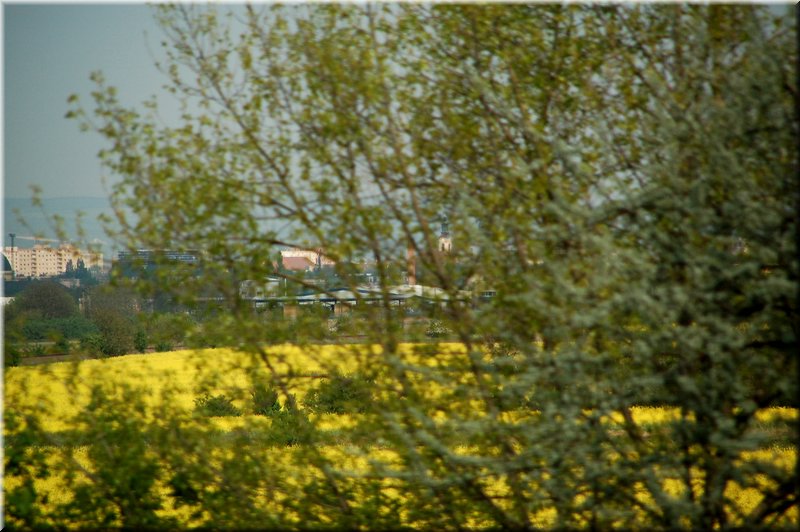 DSC_9397.jpg