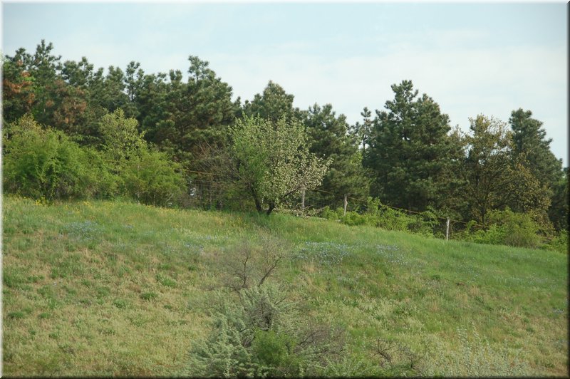 DSC_9405.JPG