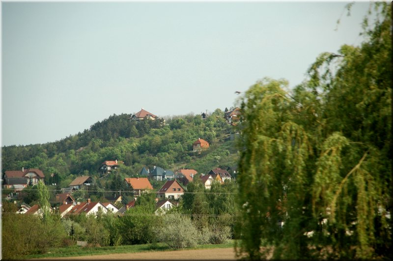 DSC_9406.jpg