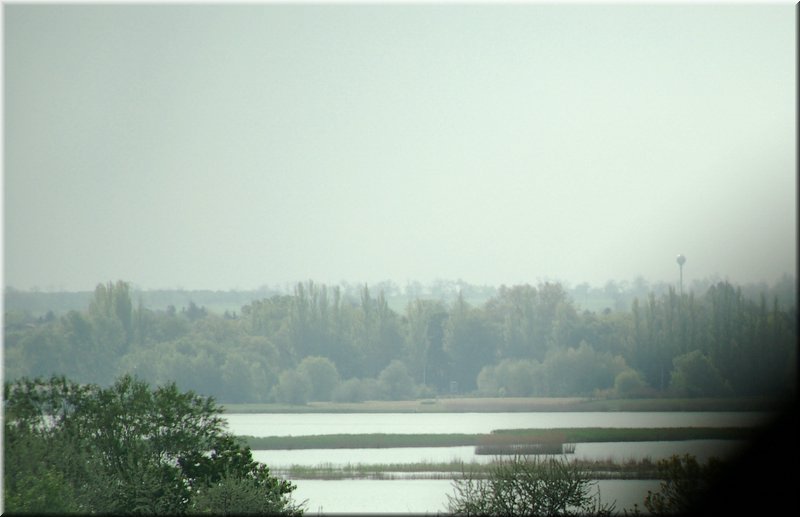 DSC_9407.jpg