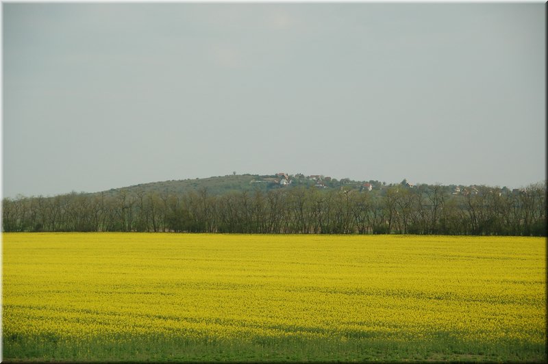 DSC_9408.JPG