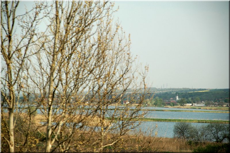 DSC_9410.jpg