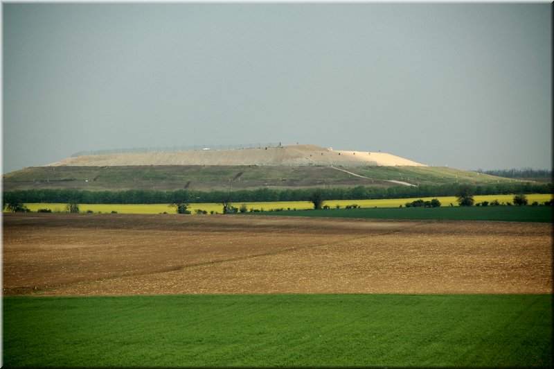 DSC_9415.jpg