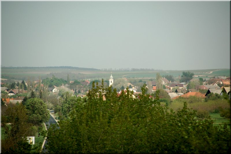 DSC_9417.jpg