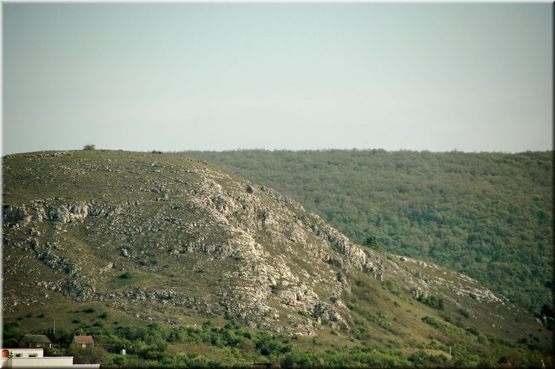 DSC_9420.jpg