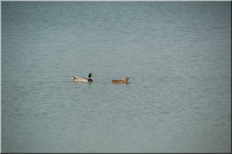 DSC_9427.JPG