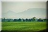 DSC_9361.jpg