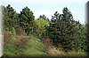 DSC_9414.jpg