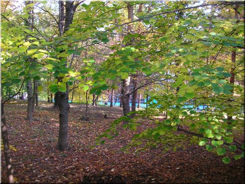 DSCN2098.JPG