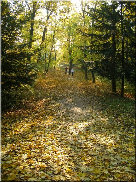 DSCN2099.jpg