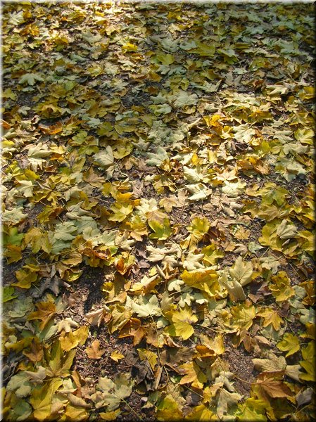 DSCN2100.jpg