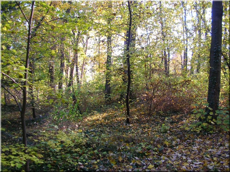 DSCN2102.JPG