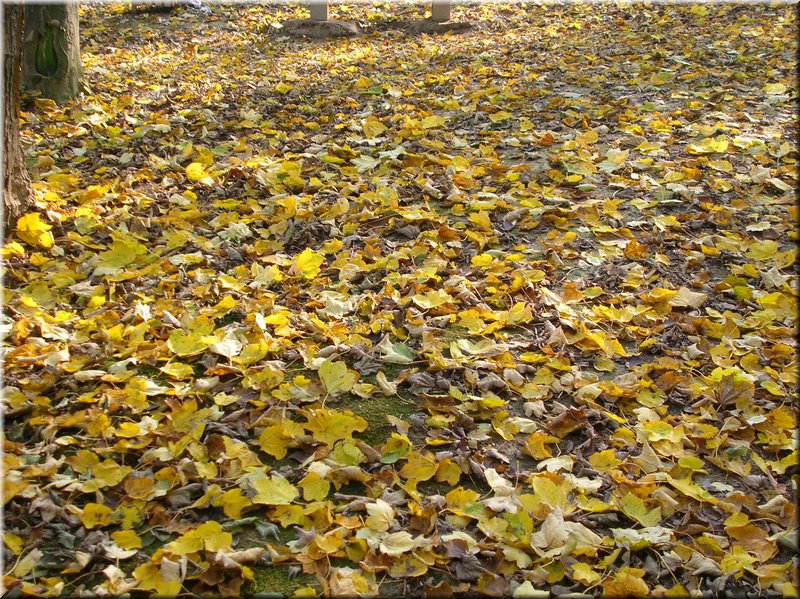 DSCN2104.JPG