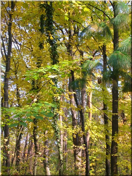 DSCN2106.jpg