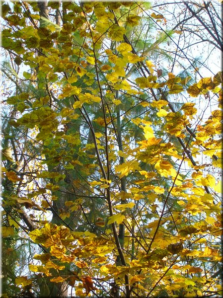 DSCN2108.jpg